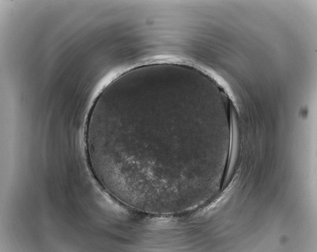 X0000099521373200805221435