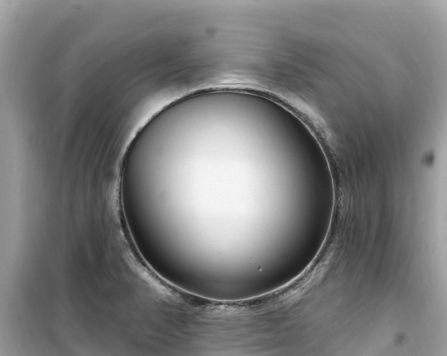 X0000099521374200805221435