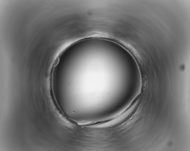 X0000099521375200805221435