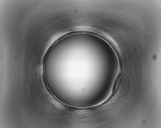 X0000099521376200805221435