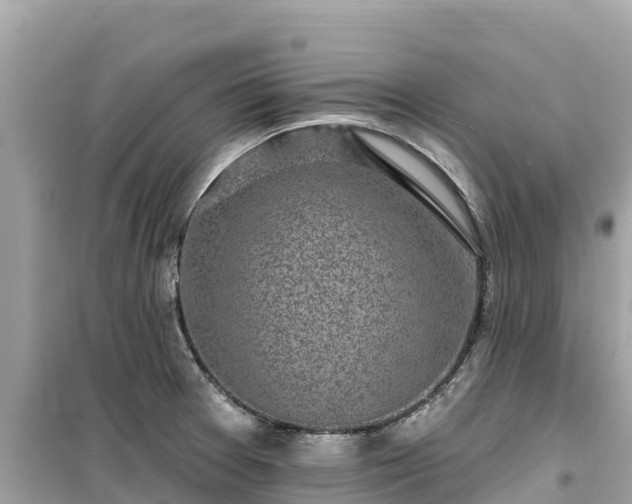X0000099521377200805221435
