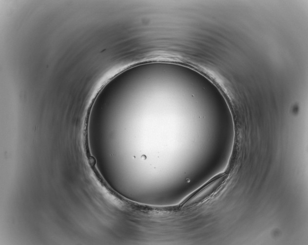 X0000099521379200805221435