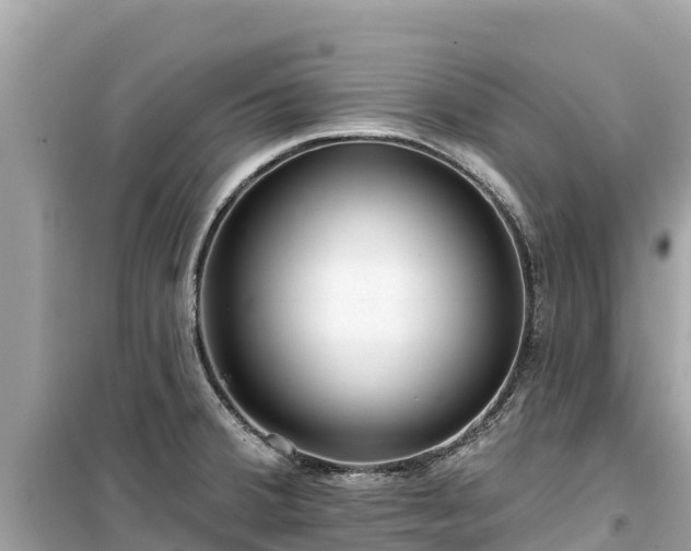 X0000099521380200805221435
