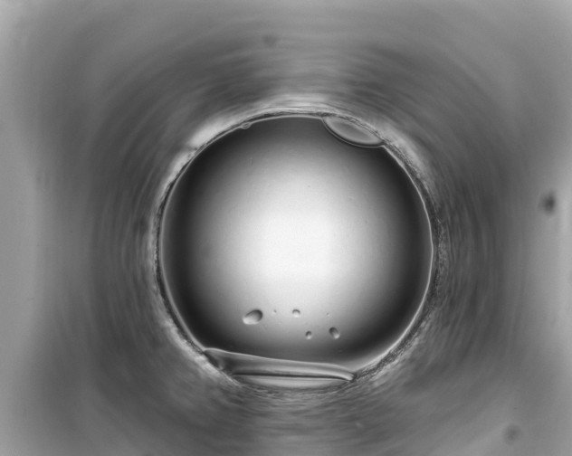 X0000099521382200805221435