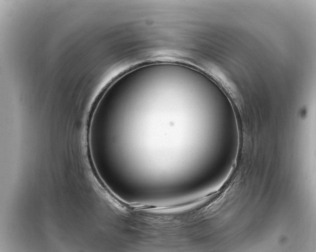X0000099521384200805221435