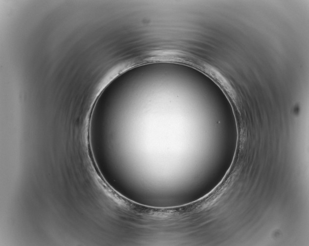 X0000099521386200805221435