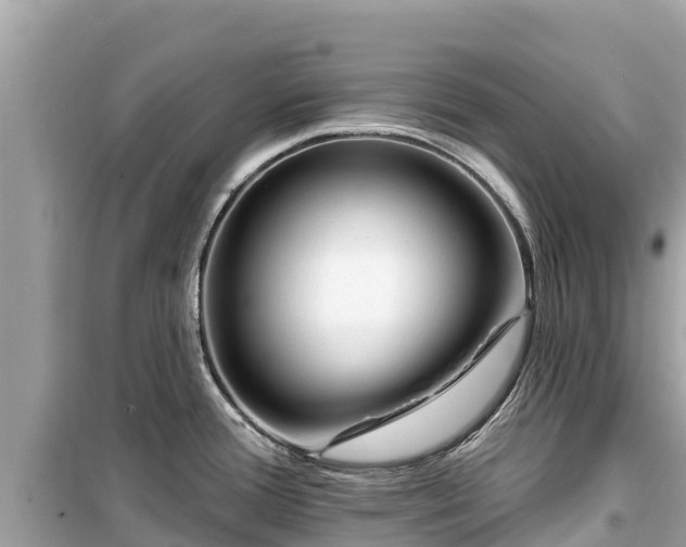 X0000099521388200805221435