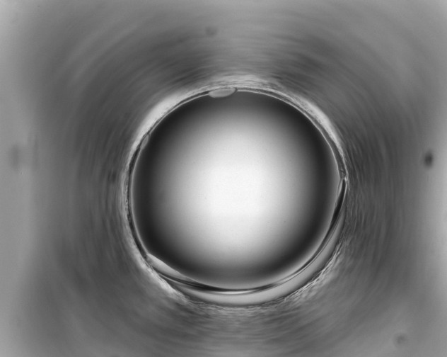 X0000099521389200805221435