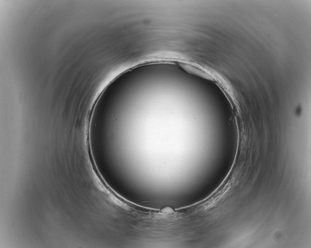 X0000099521390200805221435