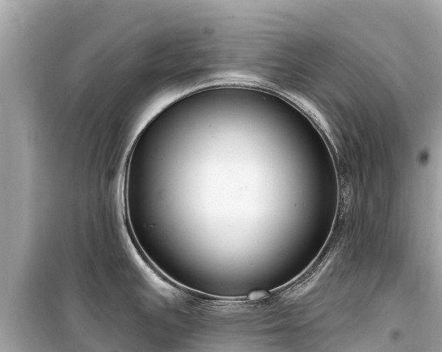 X0000099521391200805221435