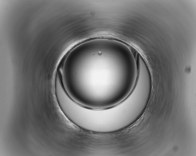 X0000099521392200805221435