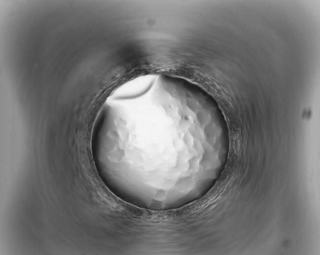X0000099521393200805221434