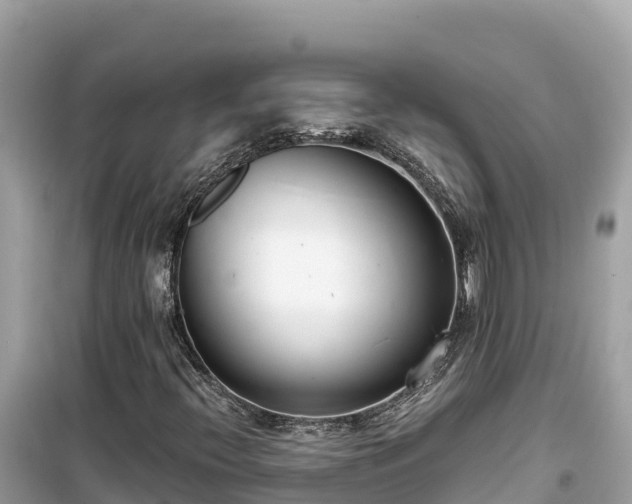 X0000099521396200805221434