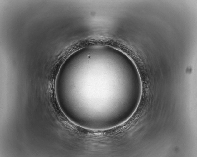 X0000099521397200805221434
