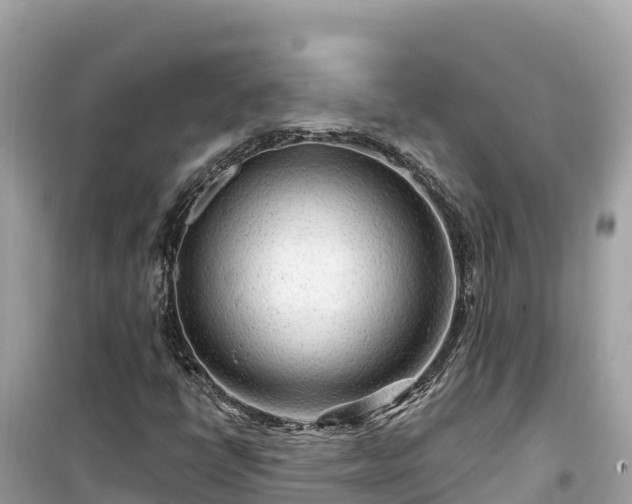X0000099521398200805221434