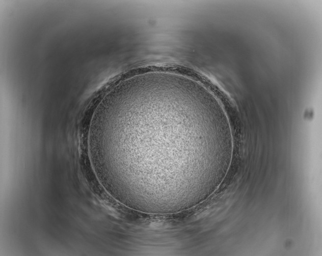 X0000099521399200805221434