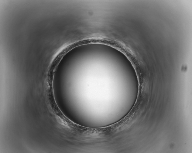 X0000099521400200805221434