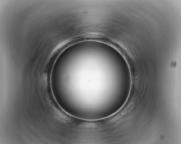 X0000099521402200805221434
