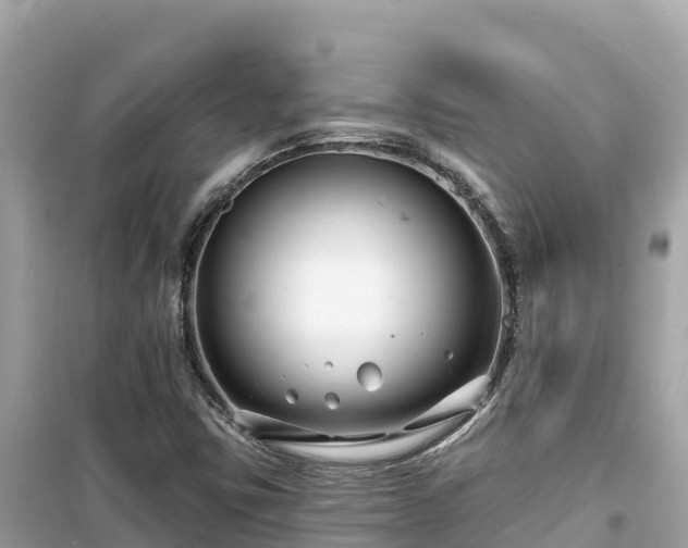 X0000099521403200805221434