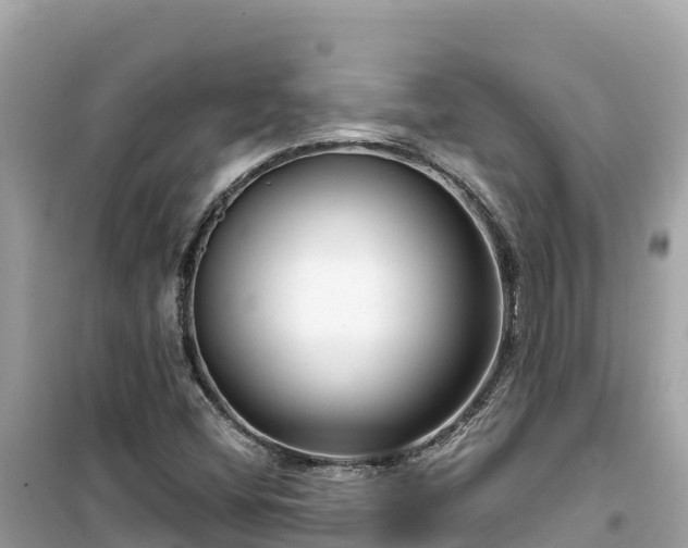 X0000099521404200805221434