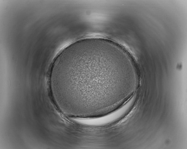 X0000099521405200805221434