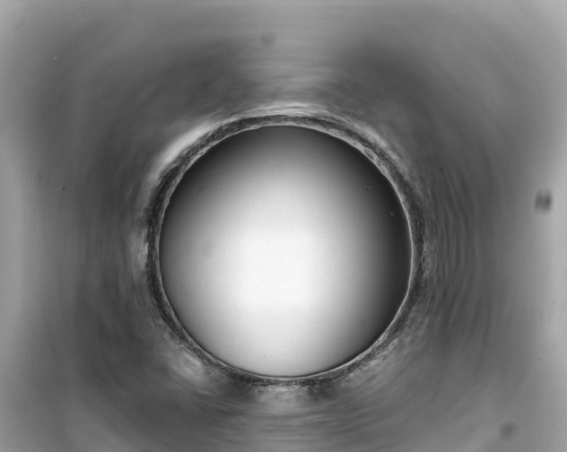 X0000099521406200805221434