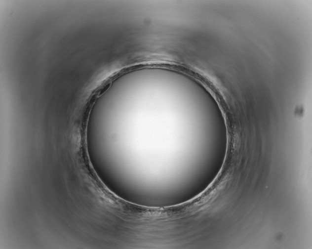 X0000099521407200805221434