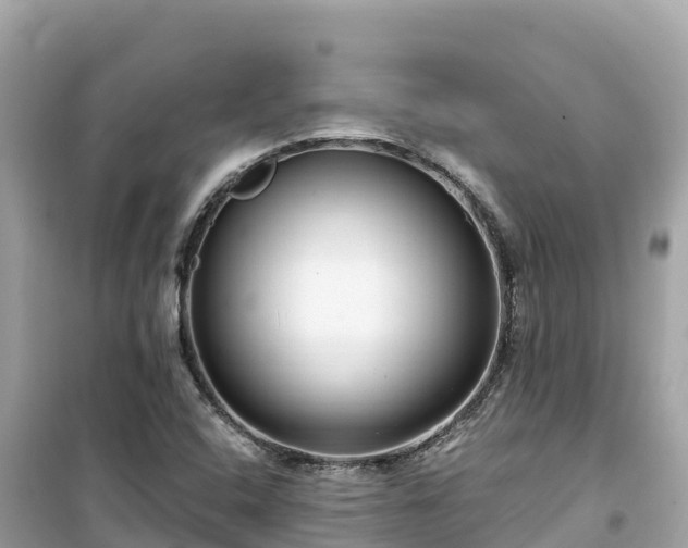 X0000099521408200805221434