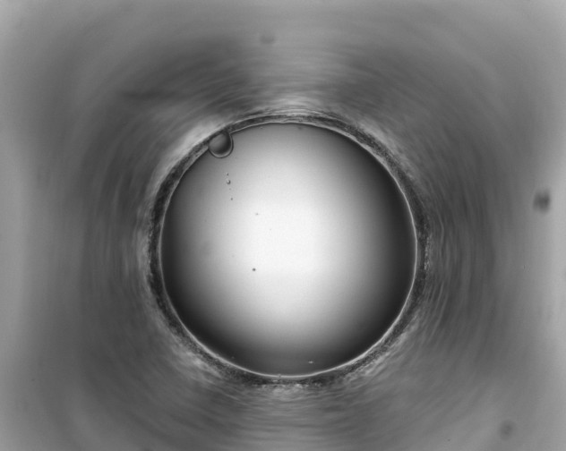 X0000099521410200805221434