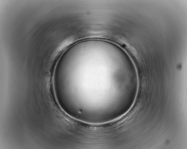 X0000099521411200805221434