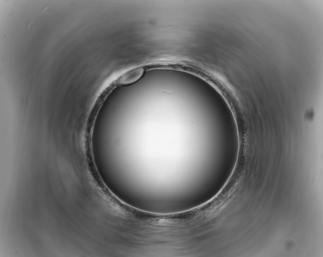 X0000099521412200805221434
