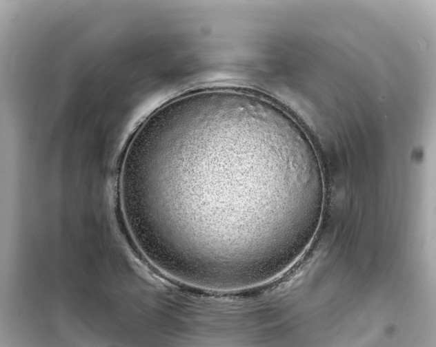 X0000099521413200805221434