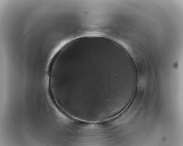 X0000099521414200805221434