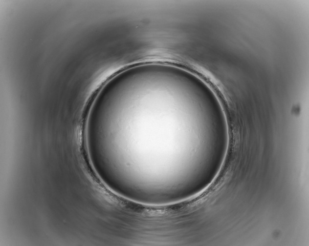 X0000099521415200805221434