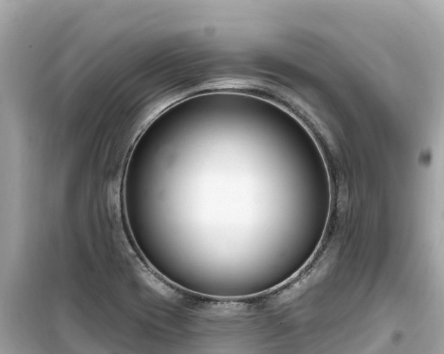 X0000099521417200805221434