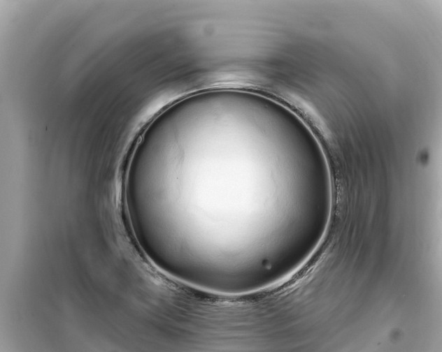 X0000099521419200805221434