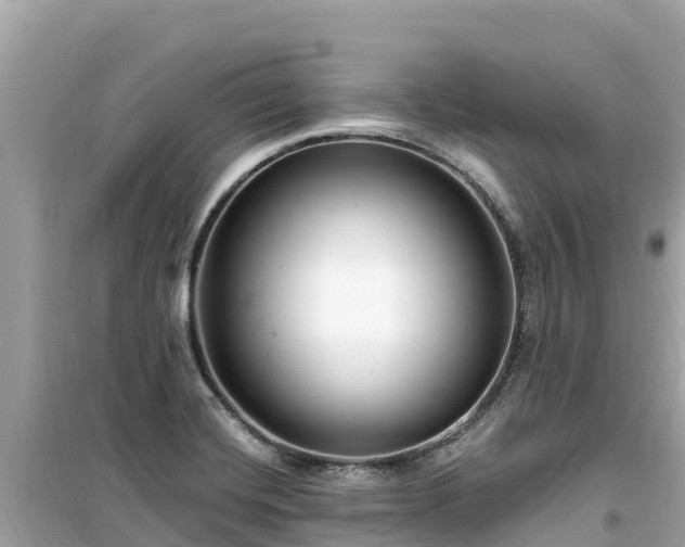 X0000099521420200805221434