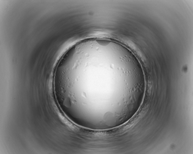 X0000099521421200805221434