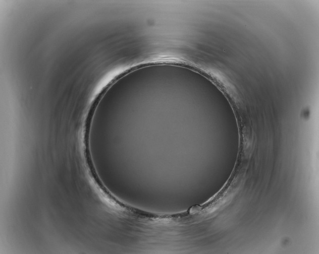 X0000099521422200805221434