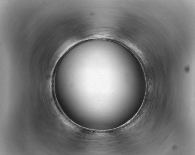 X0000099521423200805221434
