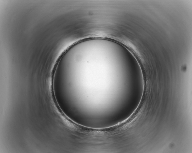 X0000099521424200805221434