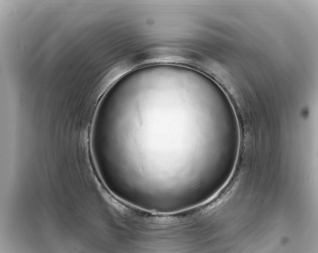 X0000099521425200805221434
