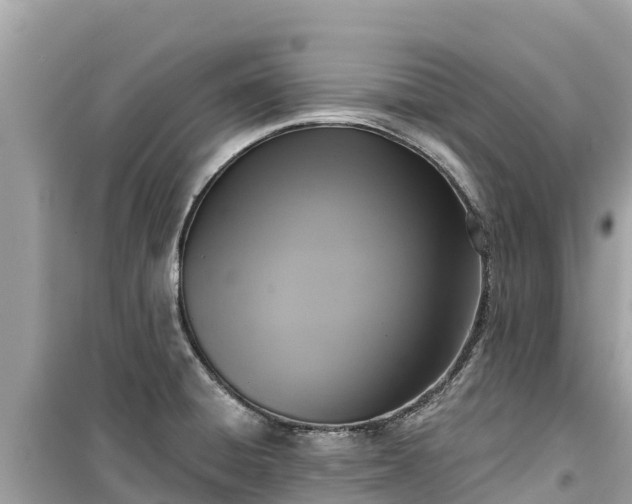 X0000099521428200805221435