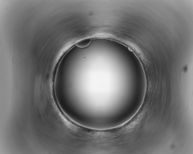 X0000099521430200805221435