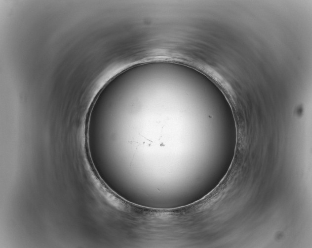 X0000099521431200805221435