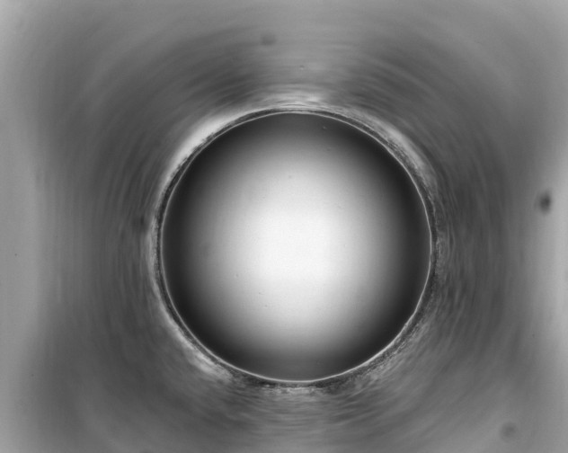 X0000099521432200805221435