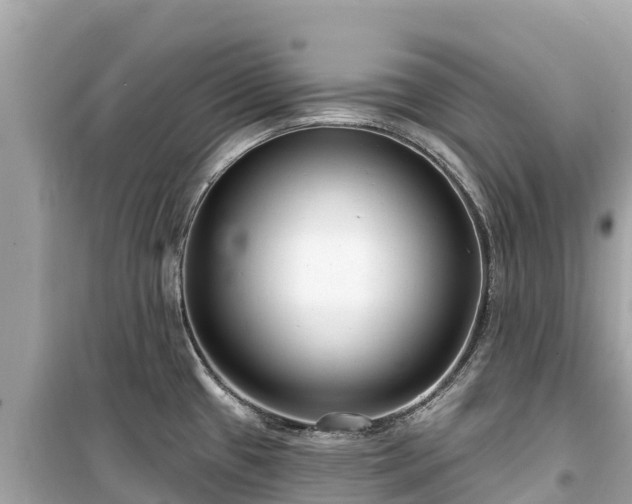 X0000099521433200805221435