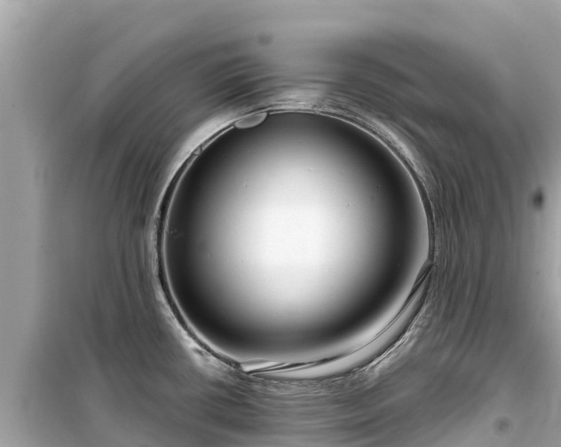 X0000099521434200805221435