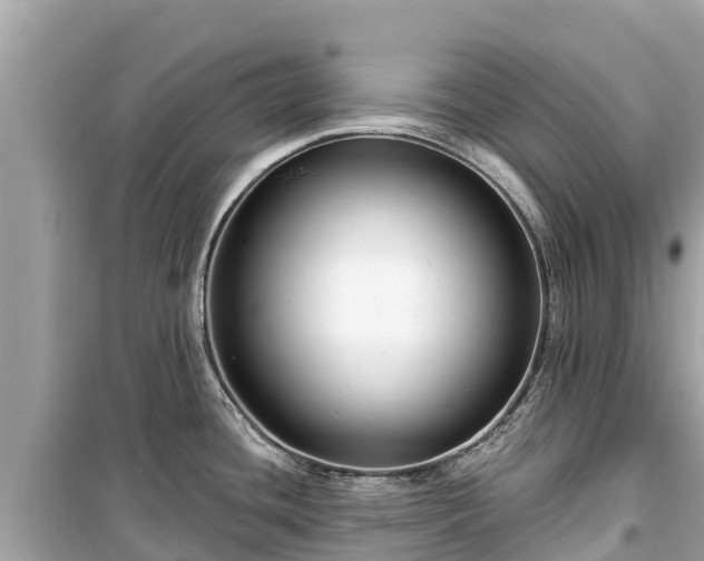 X0000099521436200805221435