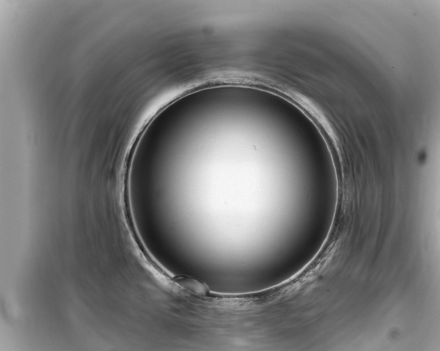 X0000099521437200805221435
